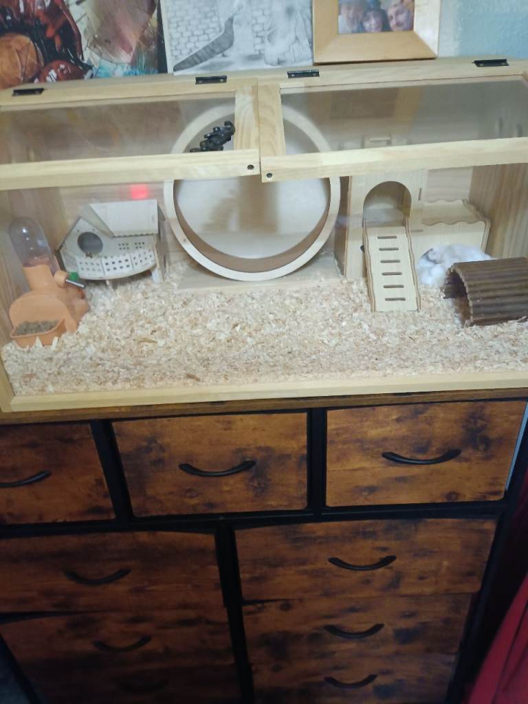 Wooden hamster cage never used 
