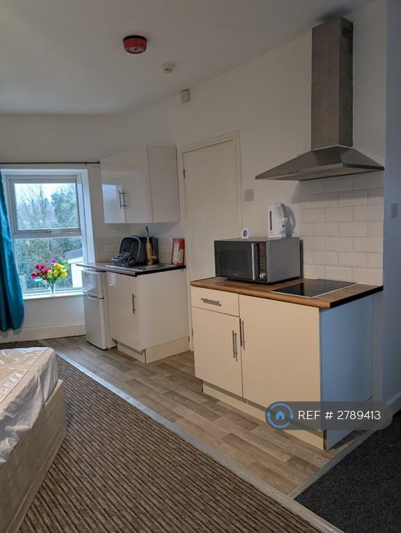Studio flat in Valletort Road, Plymouth, PL1 (#2789413)