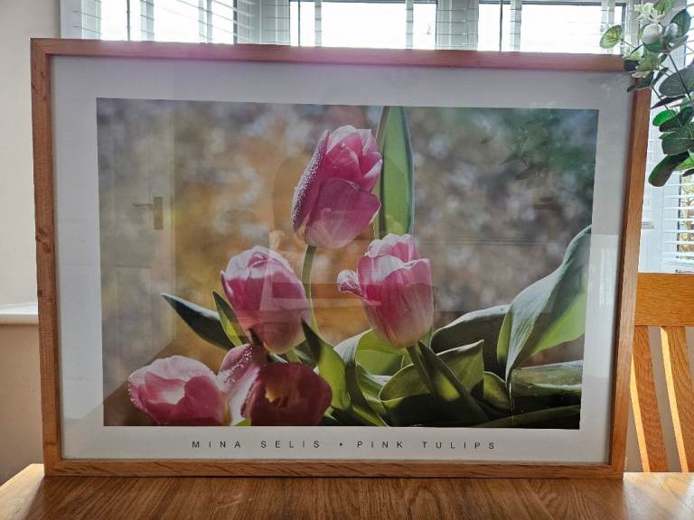 Pink Tulip Framed Print