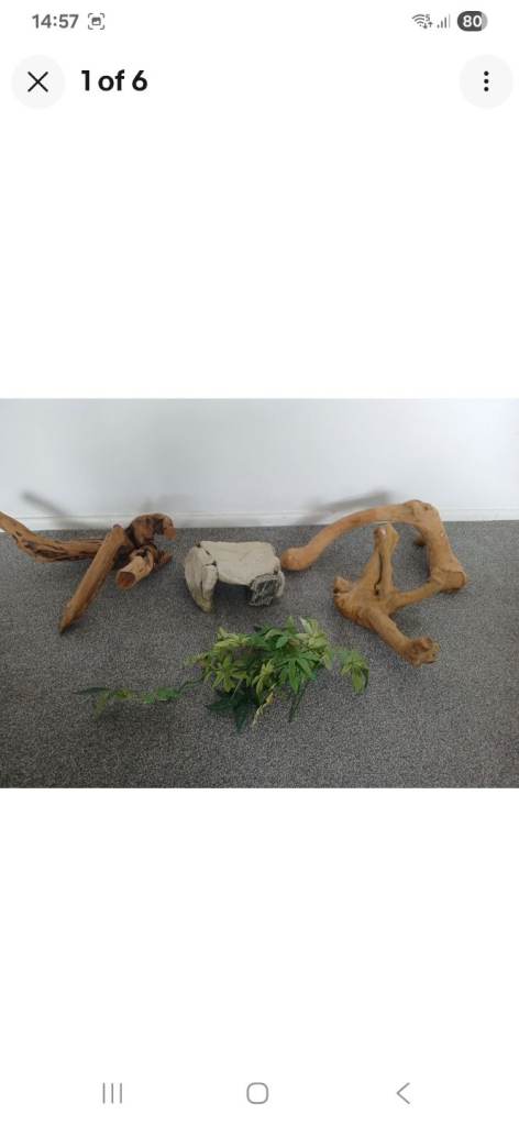 Vivarium Accessories