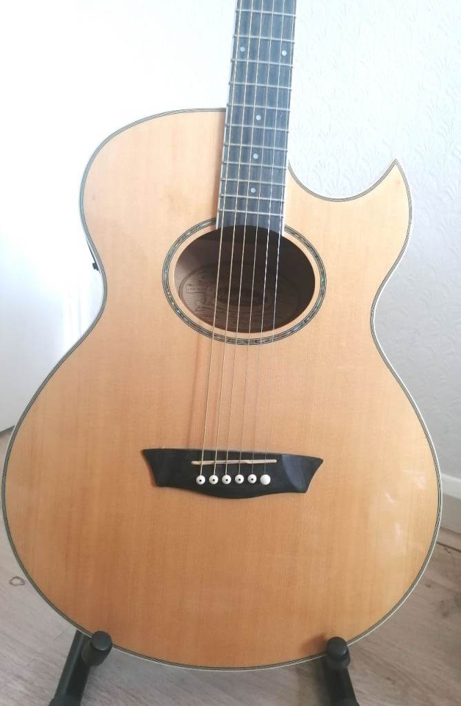 Washburn electro acoustic festival series 