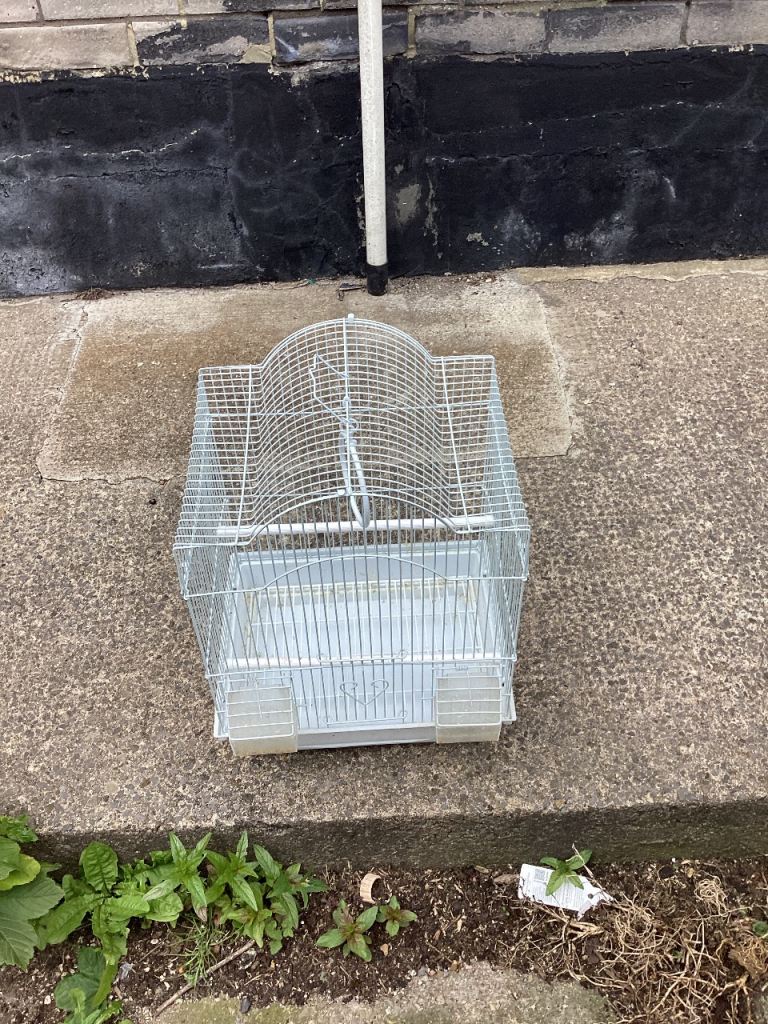 Bird cage