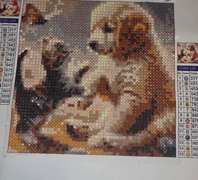 Diamond Painting Kit - Dog and Cat Design, Completed