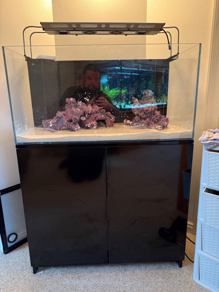 3ft aqua one marine fishtank setup