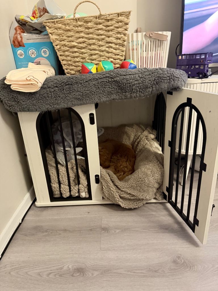Dog Crate 
