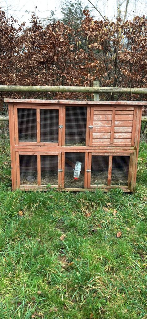 Rabbit/guinea pig double storey cage hutch