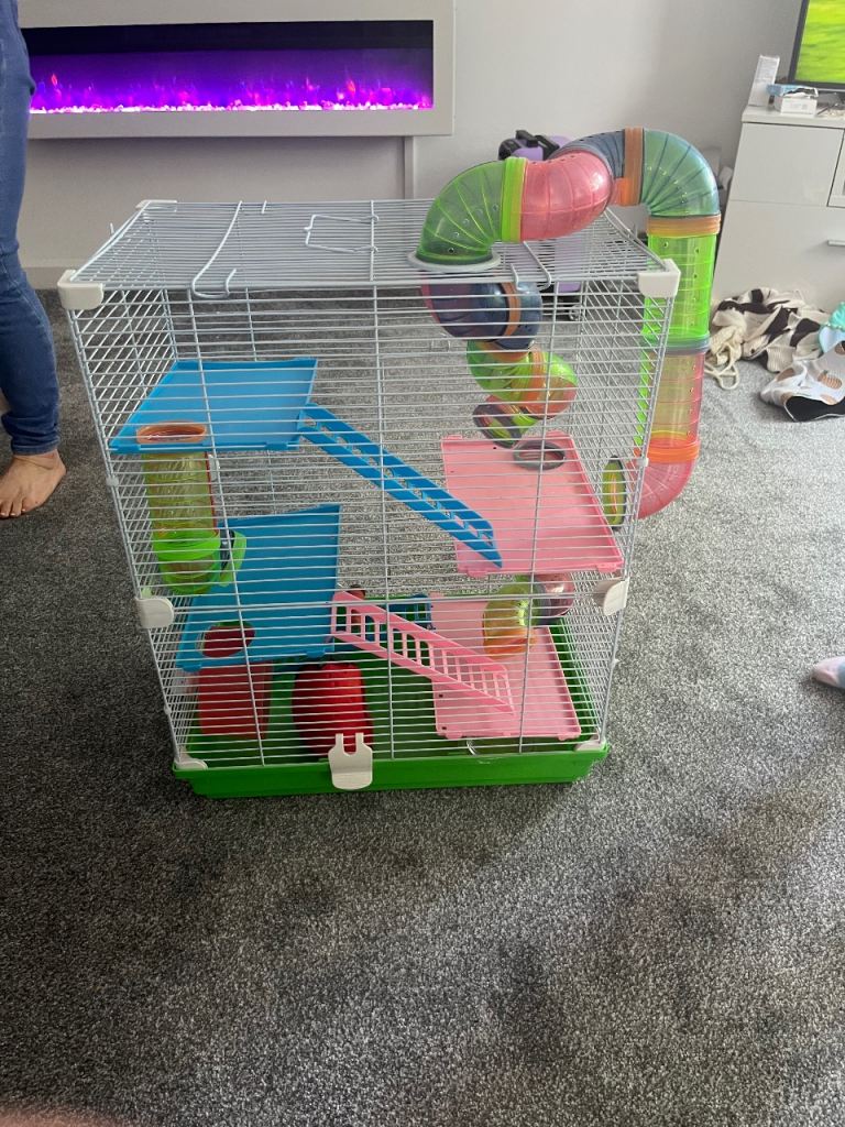 Hamster cage 