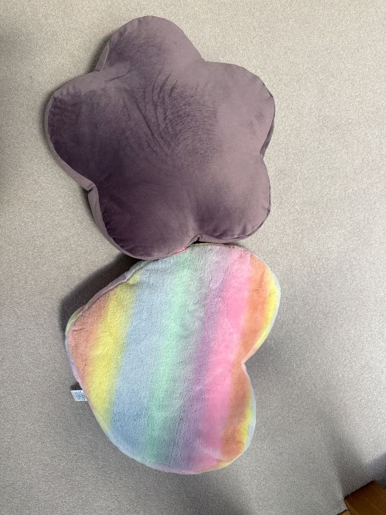 Two Decorative Cushions - Good Condition