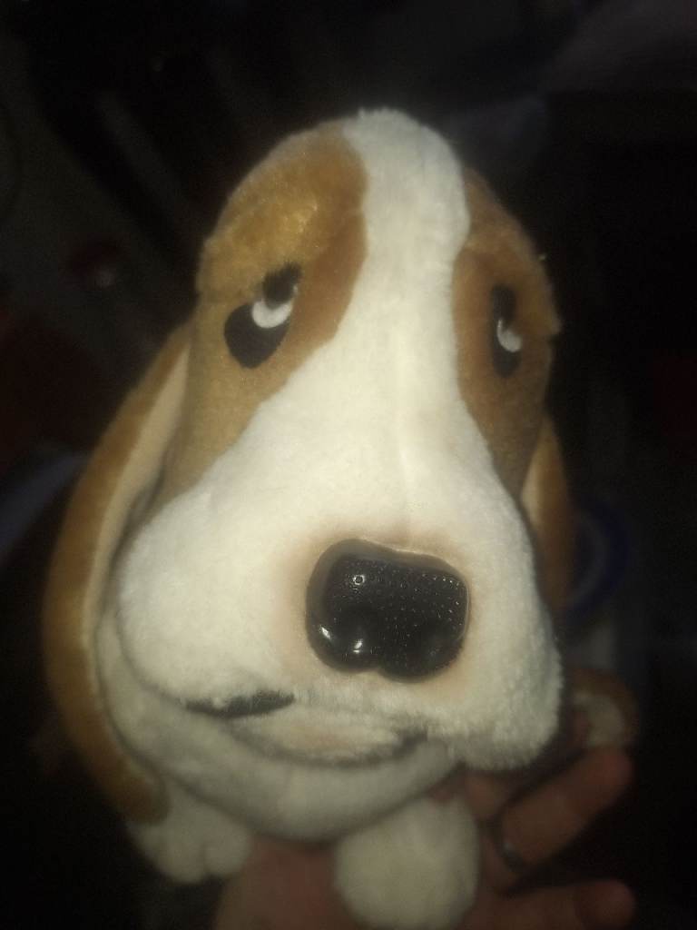 Original collectable hush puppies teddy