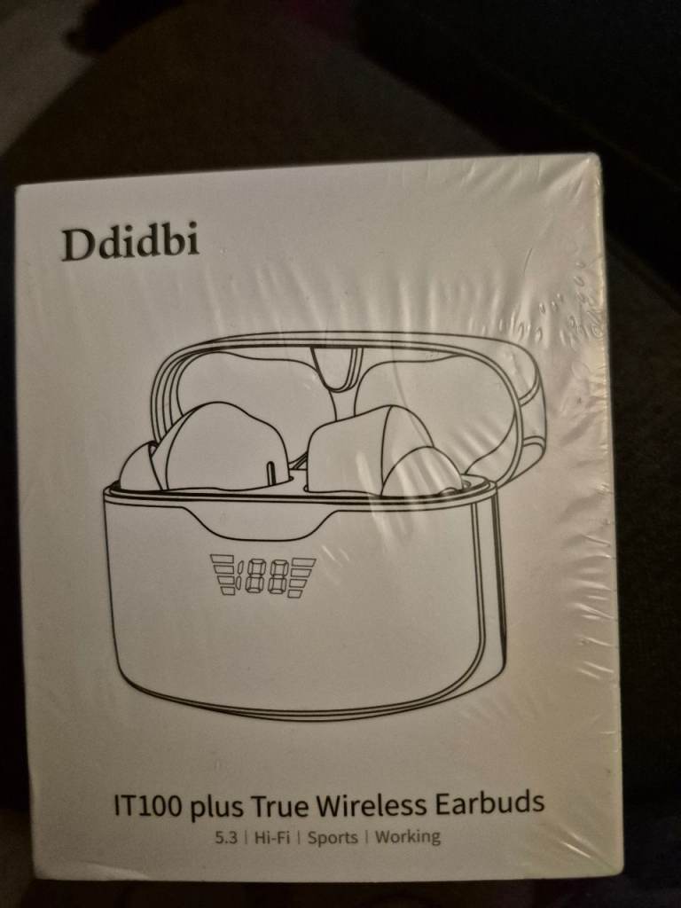 Ddidbi earbuds 