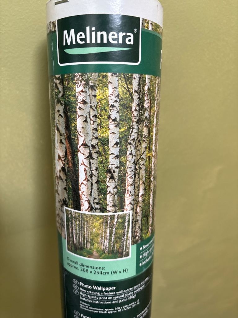 Wall mural -woodland photo