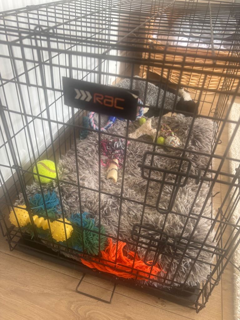 Dog crate 