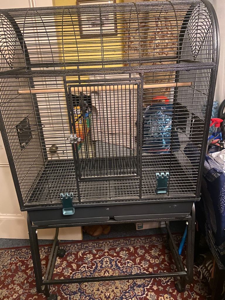 image for Large bird cage