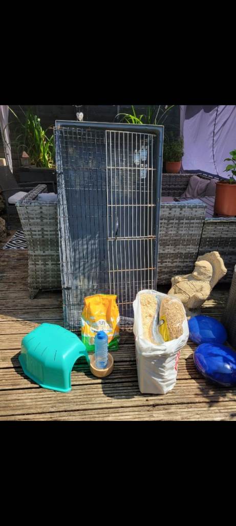 Guinea pig cage and accessories 