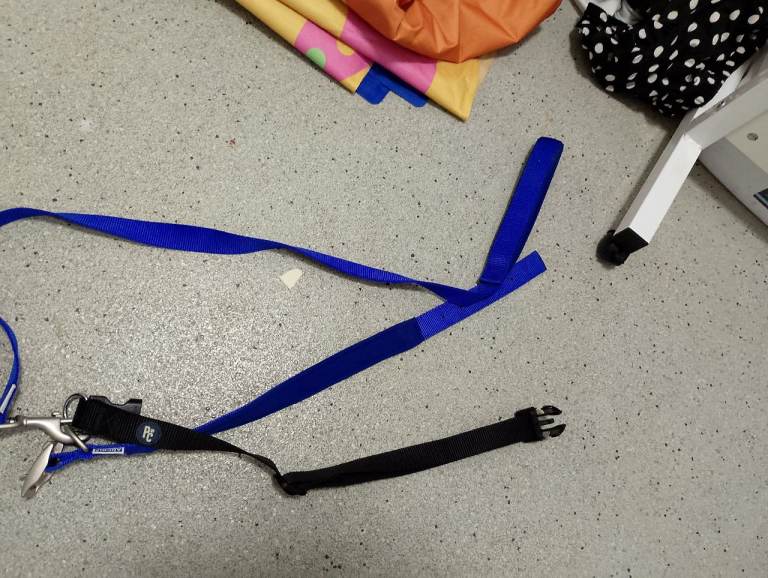Dog lead and collar brand new 