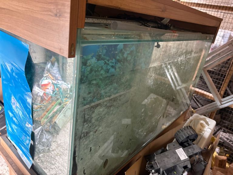 Large fish tank