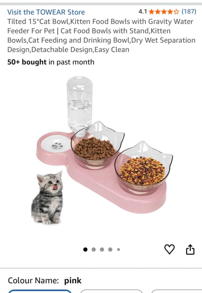 Kitten bowl, litter tray, blankets and other accessories 