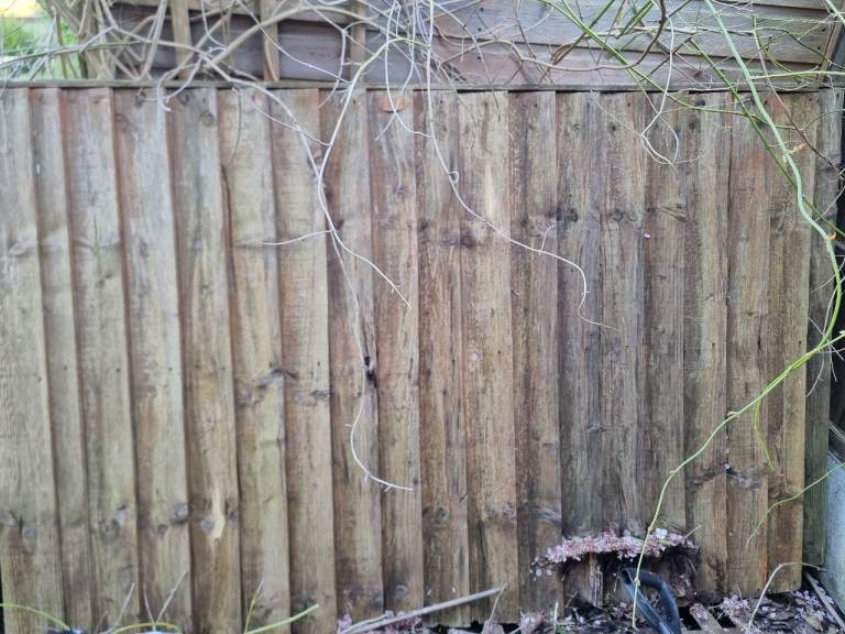 Two 6 x 4 cocklestorm fence panels m26