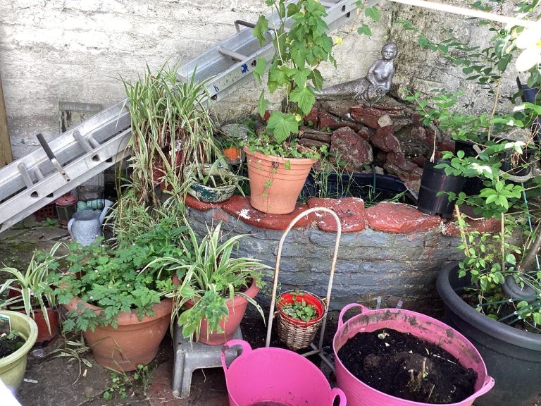 Garden black plastic pond