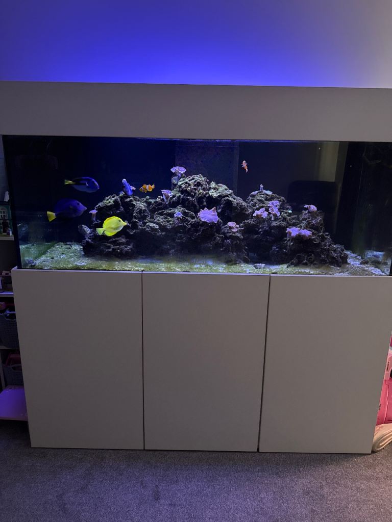 Complete 5x2x2 Marine Aquarium Setup with Stand, Live Rock, and Fish