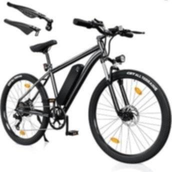 Electric bike 