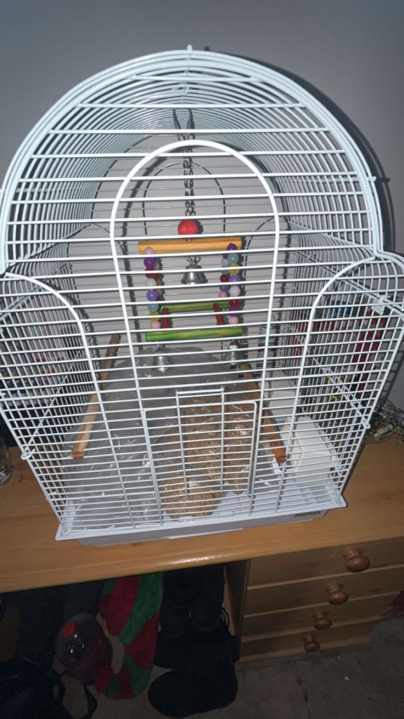 Bird cage, accessories and food