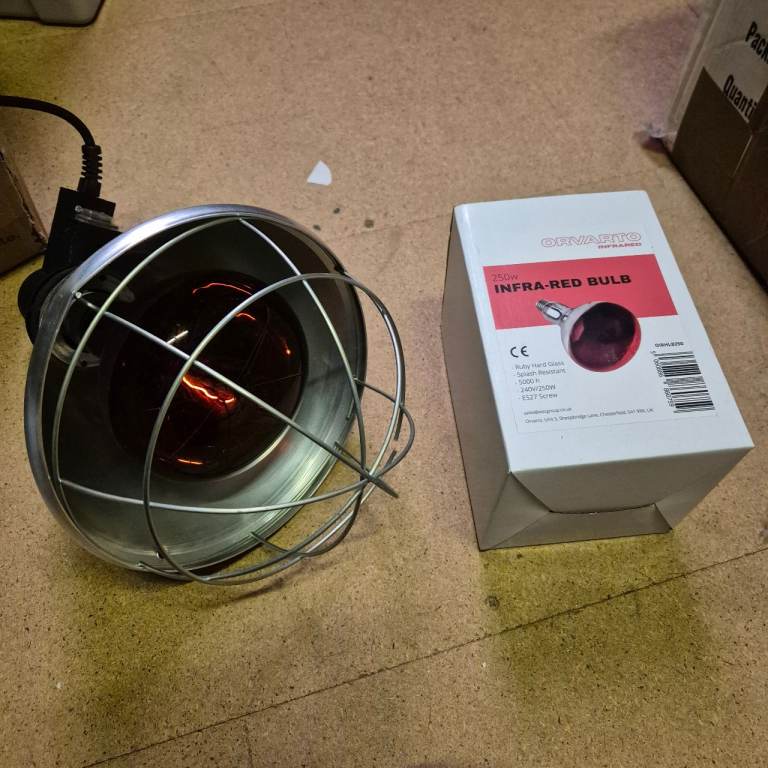 Heat lamp and spare bulb