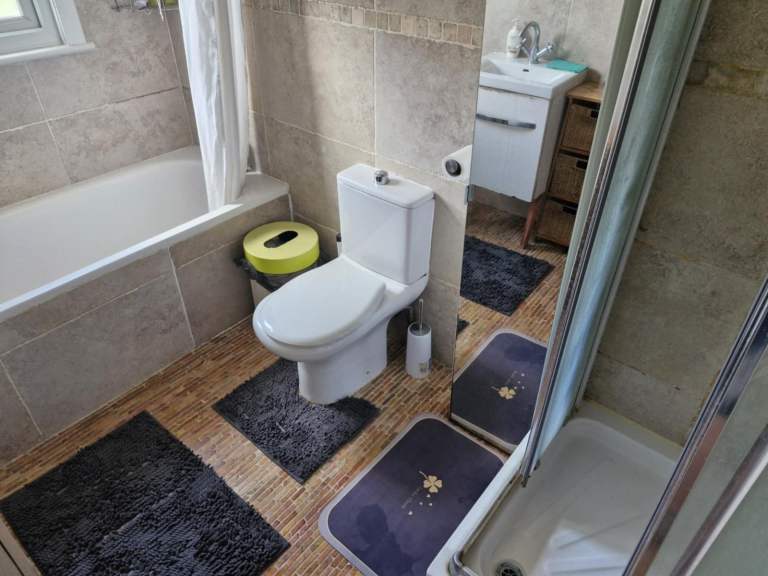 Streatham Norbury room to let London