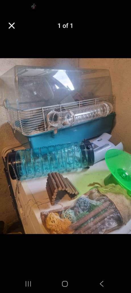 Hampster cage and accessories 