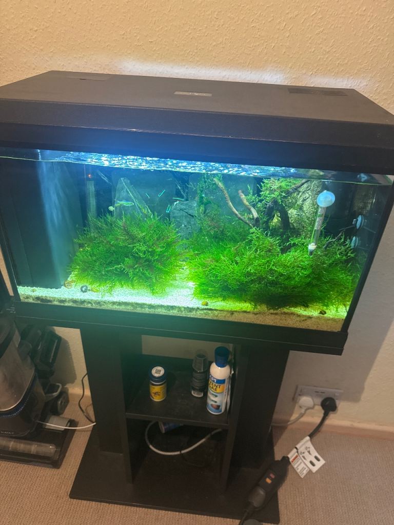 Tropical fish tank 90ltr full set up