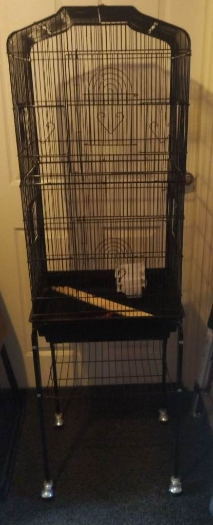 Bird cage 