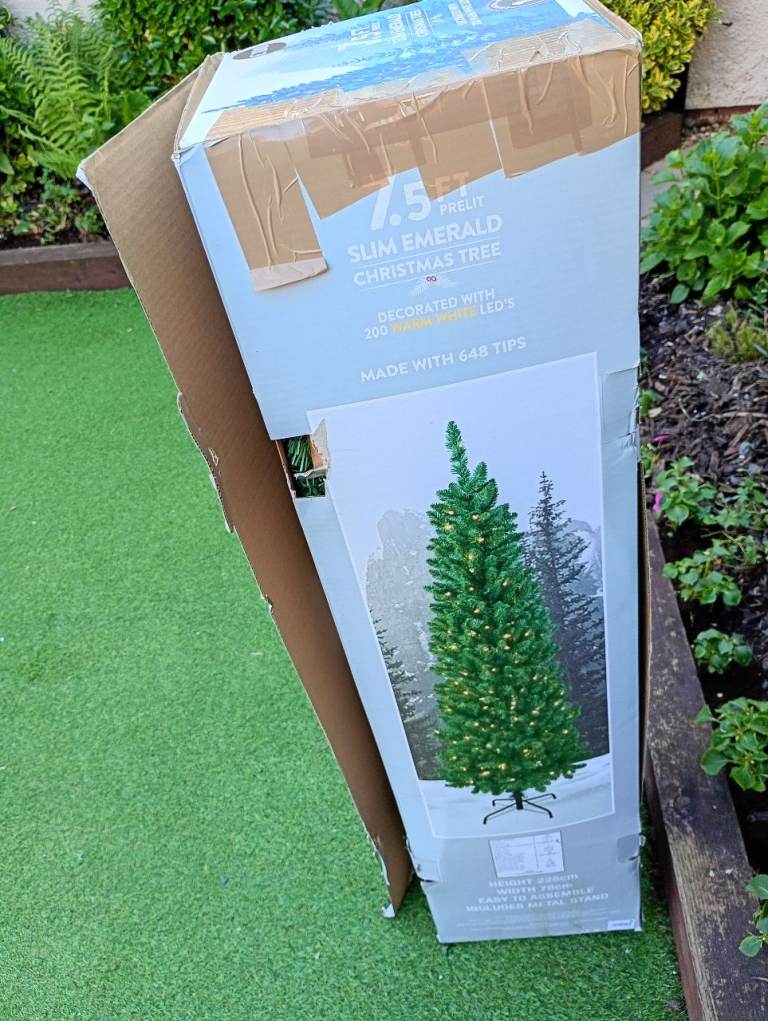 Christmas Tree 