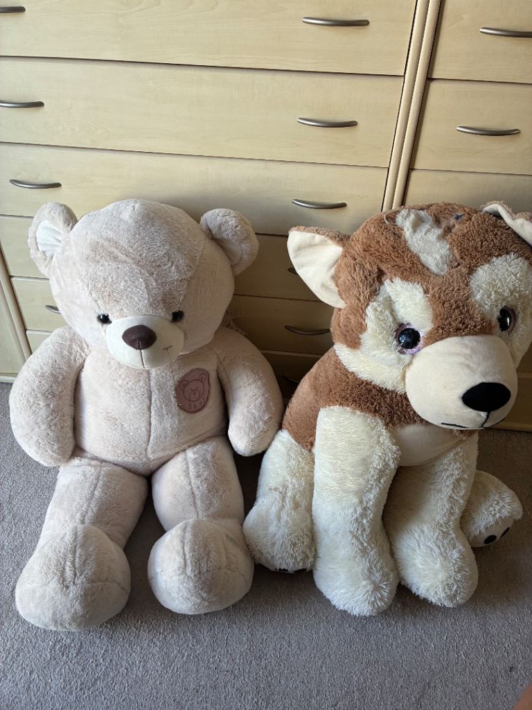 Large Soft Toy Bear and Husky Dog –  Free