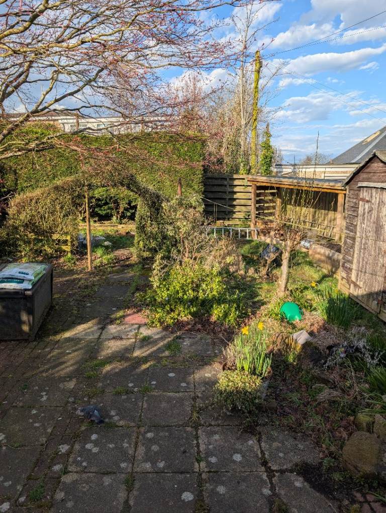 Wanted small area of woodland field industrial unit with yard cash waiting 