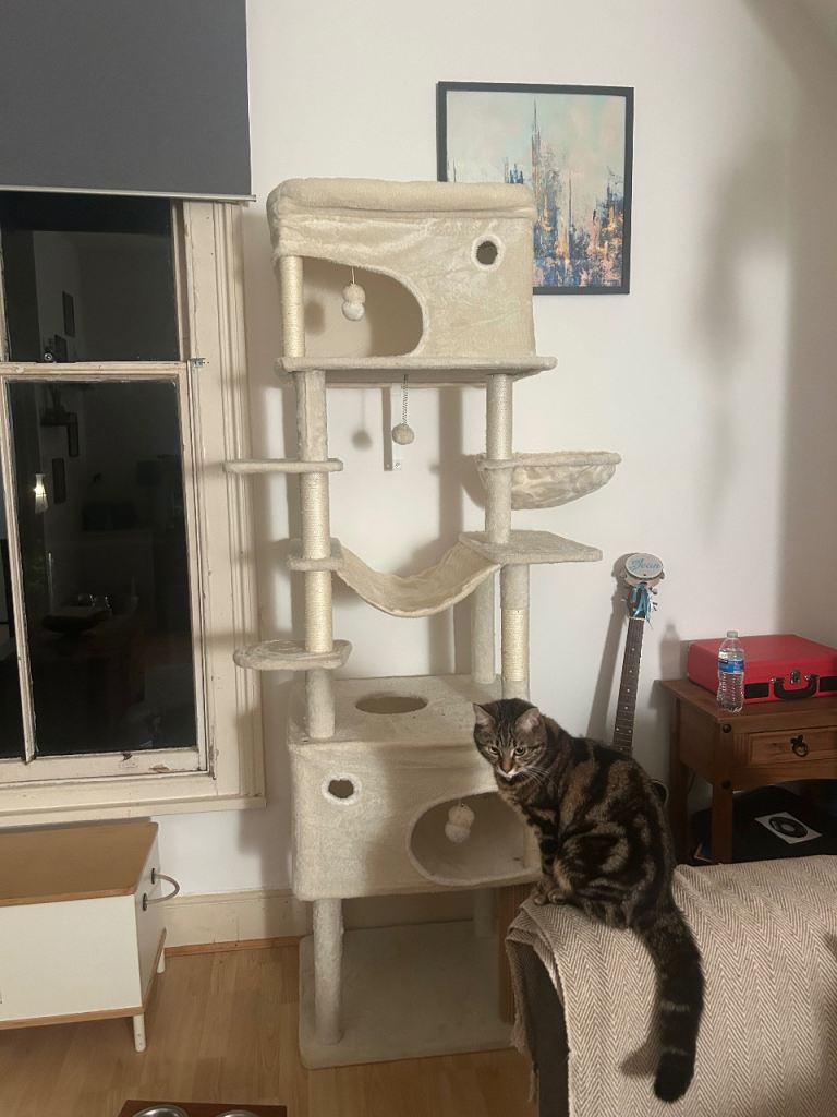 Cat Tree 