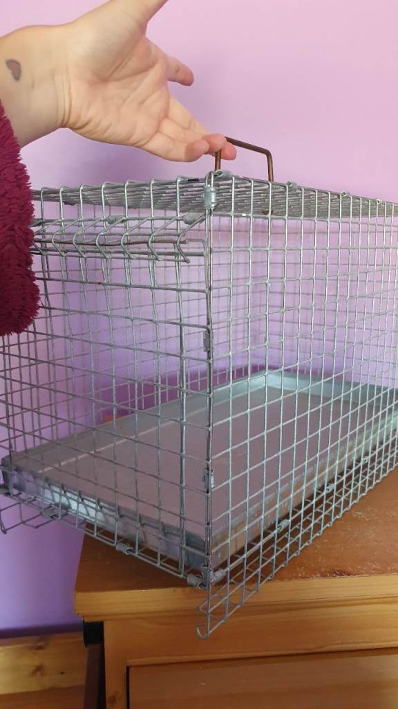 Rat degu chinchilla carrier