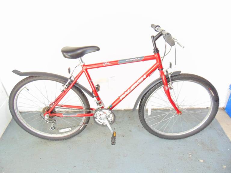 Raleigh Firefly (18.5 inch frame) Mountain Bike (free local delivery)