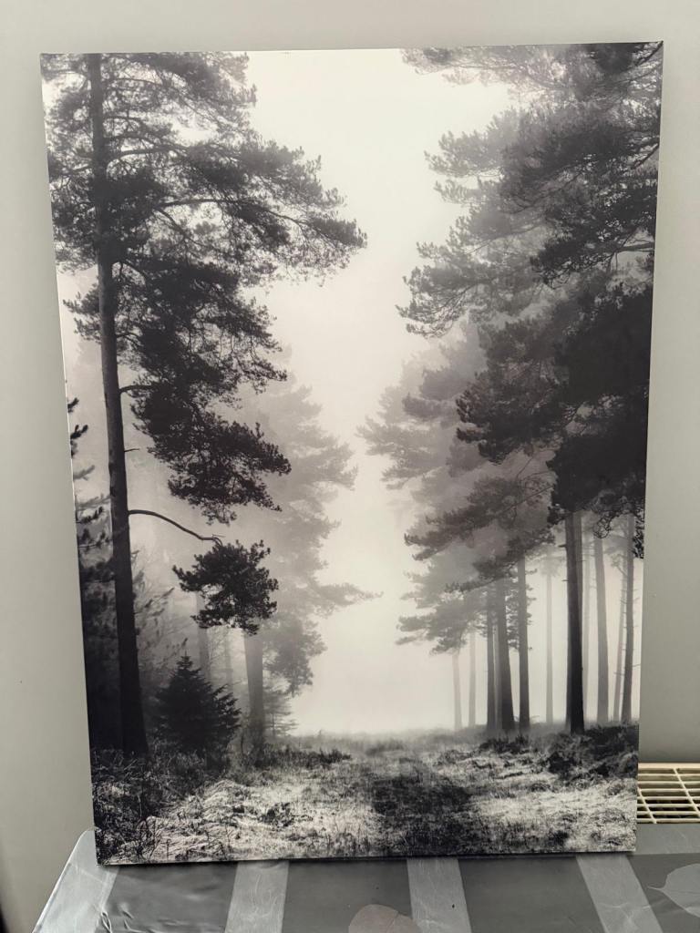 Canvas Forest Print