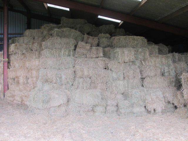 Great quality meadow hay, 