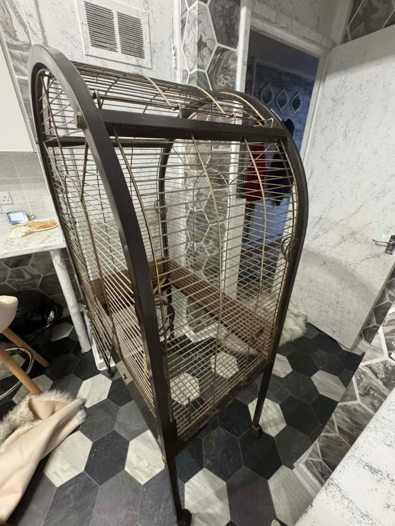 Big birds cage 