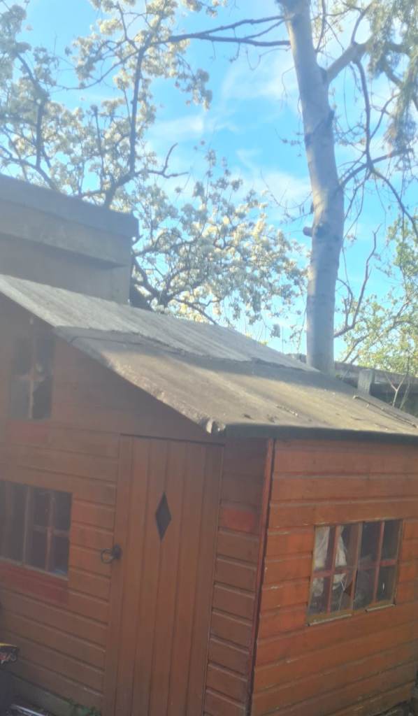 FREE TO COLLECT Shed/play house 