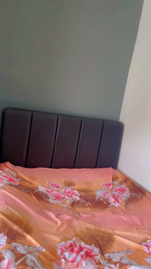 Leather Bed with Attached TV for sale