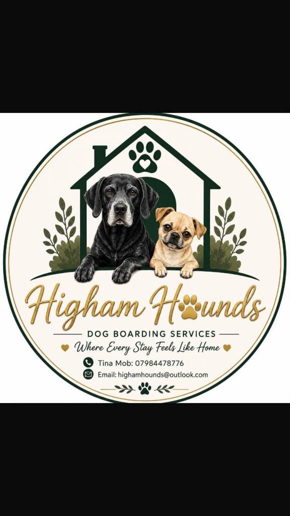 dog boarding 