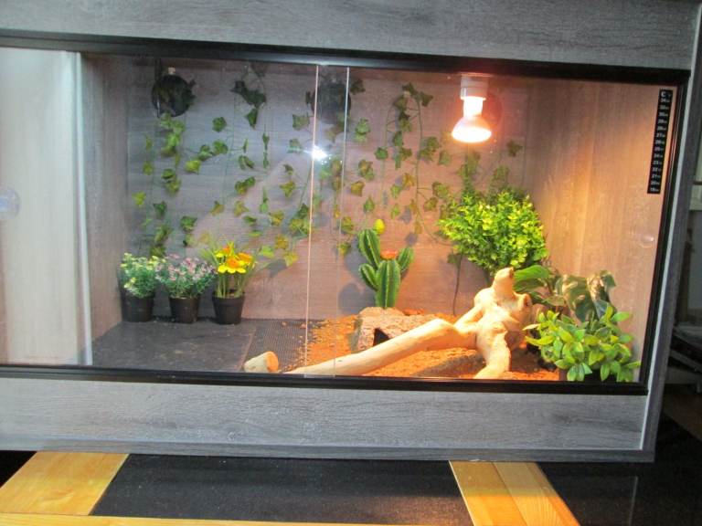 vivarium