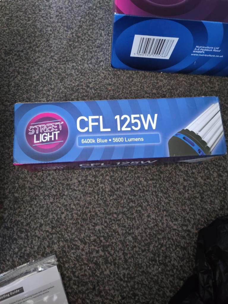 125 w CFL light bulb