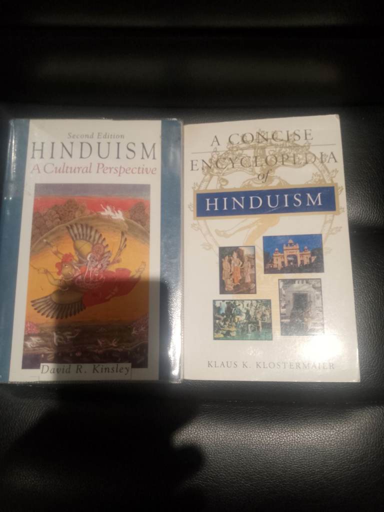 Hinduism's GENIUS writers Kinsley and Klostermaier. From my personal collection. VGC.