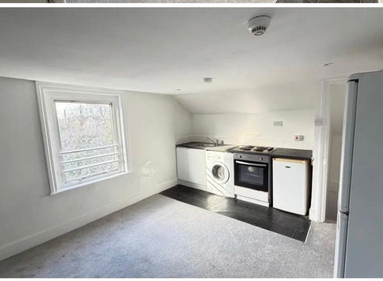 Charming One Bedroom Flat with garden -CR0