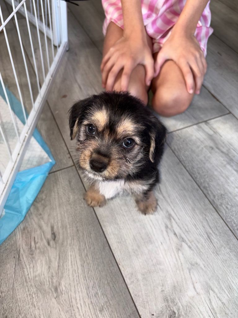Jack Tzu 