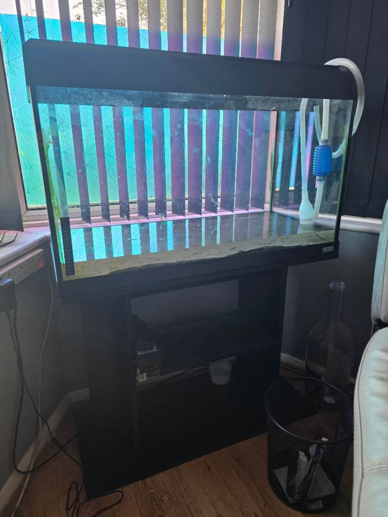 Roma 125l fish tank