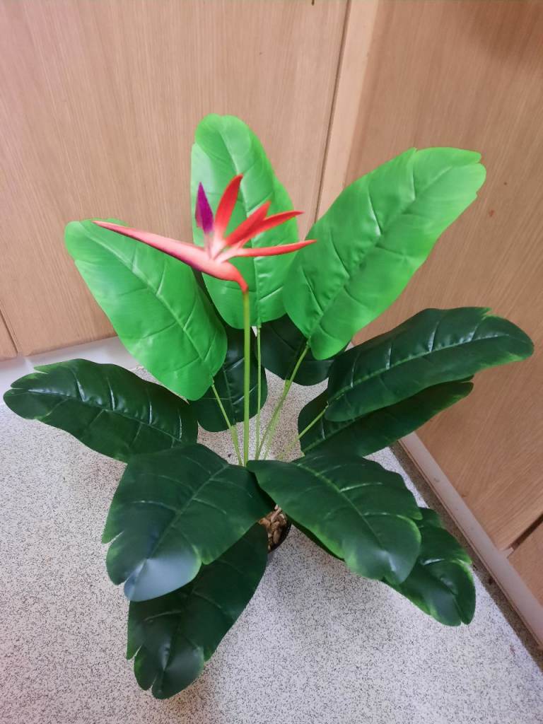 5 Artificial plants bundle. 